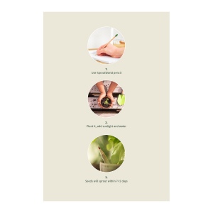 Sproutworld Sharpened Pencil & Header Card crayon taillé 34