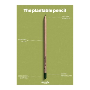 Sproutworld Sharpened Pencil & Header Card crayon taillé 96