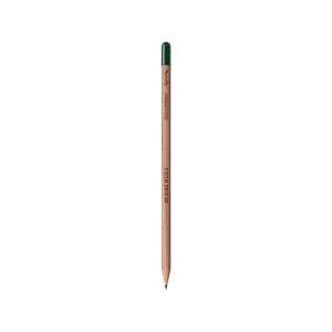 Sproutworld Sharpened Pencil & Header Card crayon taillé 4