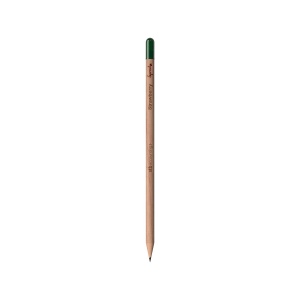 Sproutworld Sharpened Pencil & Header Card crayon taillé 9