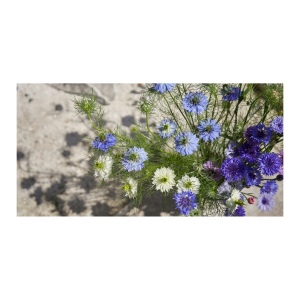 Sproutworld Unsharpened Pencil & Header Card crayon non taillé 68