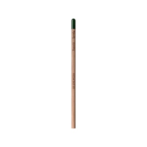 Sproutworld Unsharpened Pencil & Header Card crayon non taillé 8