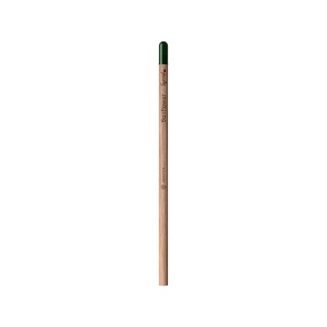 Sproutworld Unsharpened Pencil & Header Card crayon non taillé
