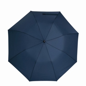 Parapluie homme automatique MISTER 4
