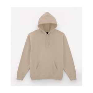 Sweat capuche 280 21