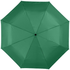 Parapluie 21.5" 3 sections ouverture fermeture automatique Alex 15