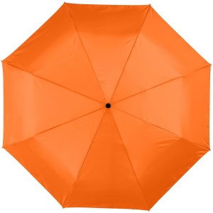 Parapluie 21.5" 3 sections ouverture fermeture automatique Alex 19