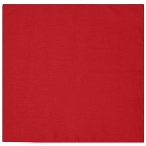 Bandana carré Daiber 20