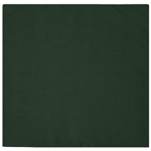 Bandana carré Daiber 31
