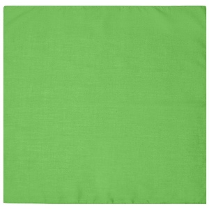 Bandana carré Daiber 32