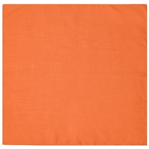 Bandana carré Daiber 33