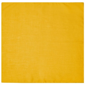 Bandana carré Daiber 34