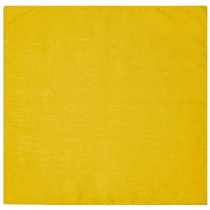 Bandana carré Daiber 36
