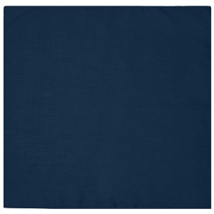 Bandana carré Daiber 22