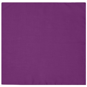 Bandana carré Daiber 26