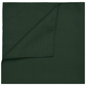 Bandana carré Daiber 13