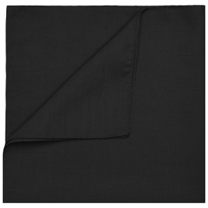 Bandana carré Daiber 6