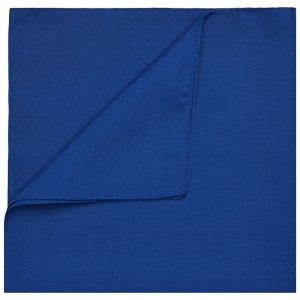 Bandana carré Daiber 17