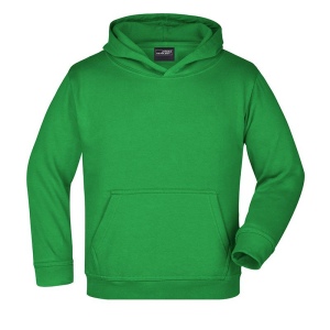 Sweat-shirt à capuche Enfant Daiber 17
