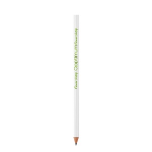 Evolution® Classic Ecolutions® crayon 2
