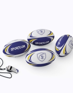 Mini Rugby BUSINESS 2
