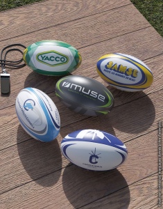 Mini Rugby BUSINESS 3