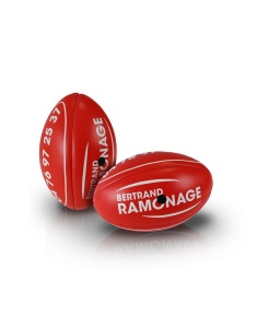 Mini Rugby BUSINESS 4