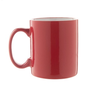 Bergen mug