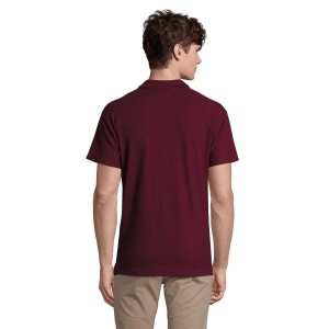 Polo homme - SPRING II 81