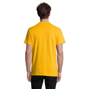 Polo homme - SPRING II 85