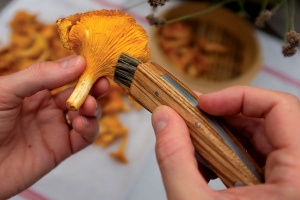 Couteau à champignon 9