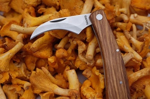 Couteau à champignon 10