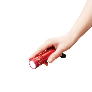 Lampe de poche DEL POWERFUL 13