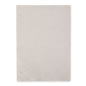 Papier A4 graines de fleurs - ASIDI 3
