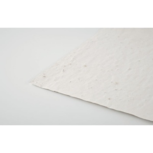 Papier A4 graines de fleurs - ASIDI 4