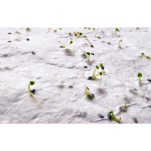 Papier A4 graines de fleurs - ASIDI 6