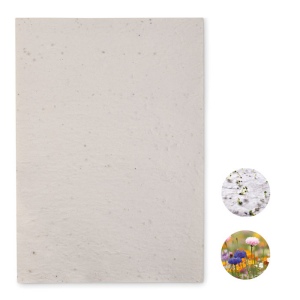 Papier A4 graines de fleurs - ASIDI
