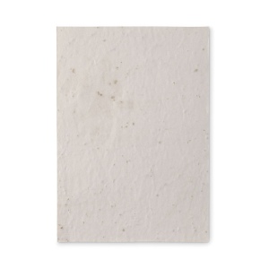 Papier A5 graines de fleurs - ASIDE 3