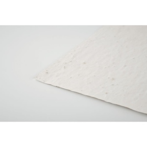 Papier A5 graines de fleurs - ASIDE 6