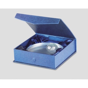 Trophée globe en verre - MONDAL 3