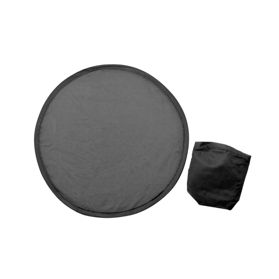 Frisbee - Watson 7