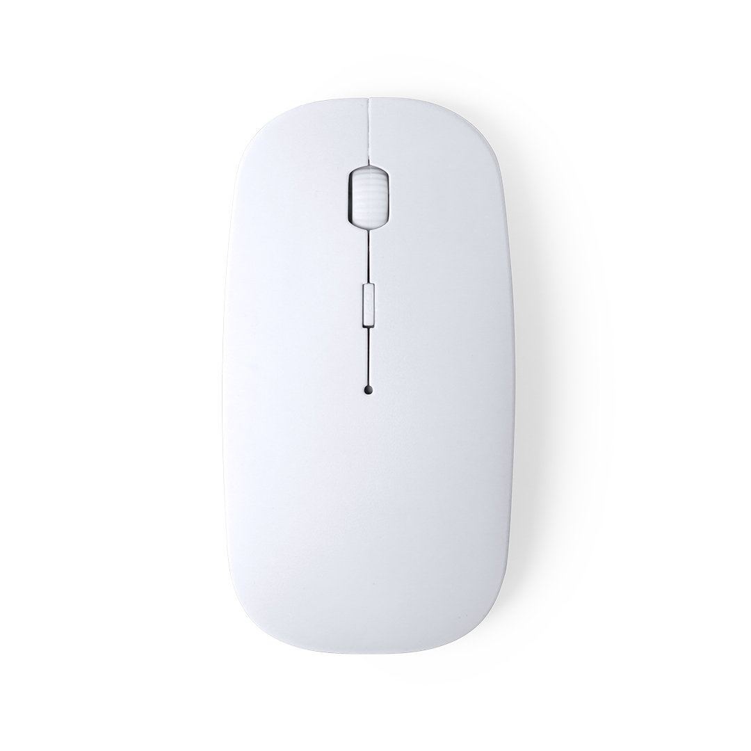 Souris - Lyster 5