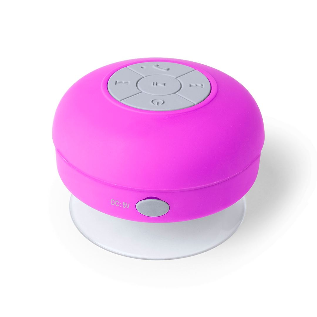 Haut-Parleur - Rariax 5