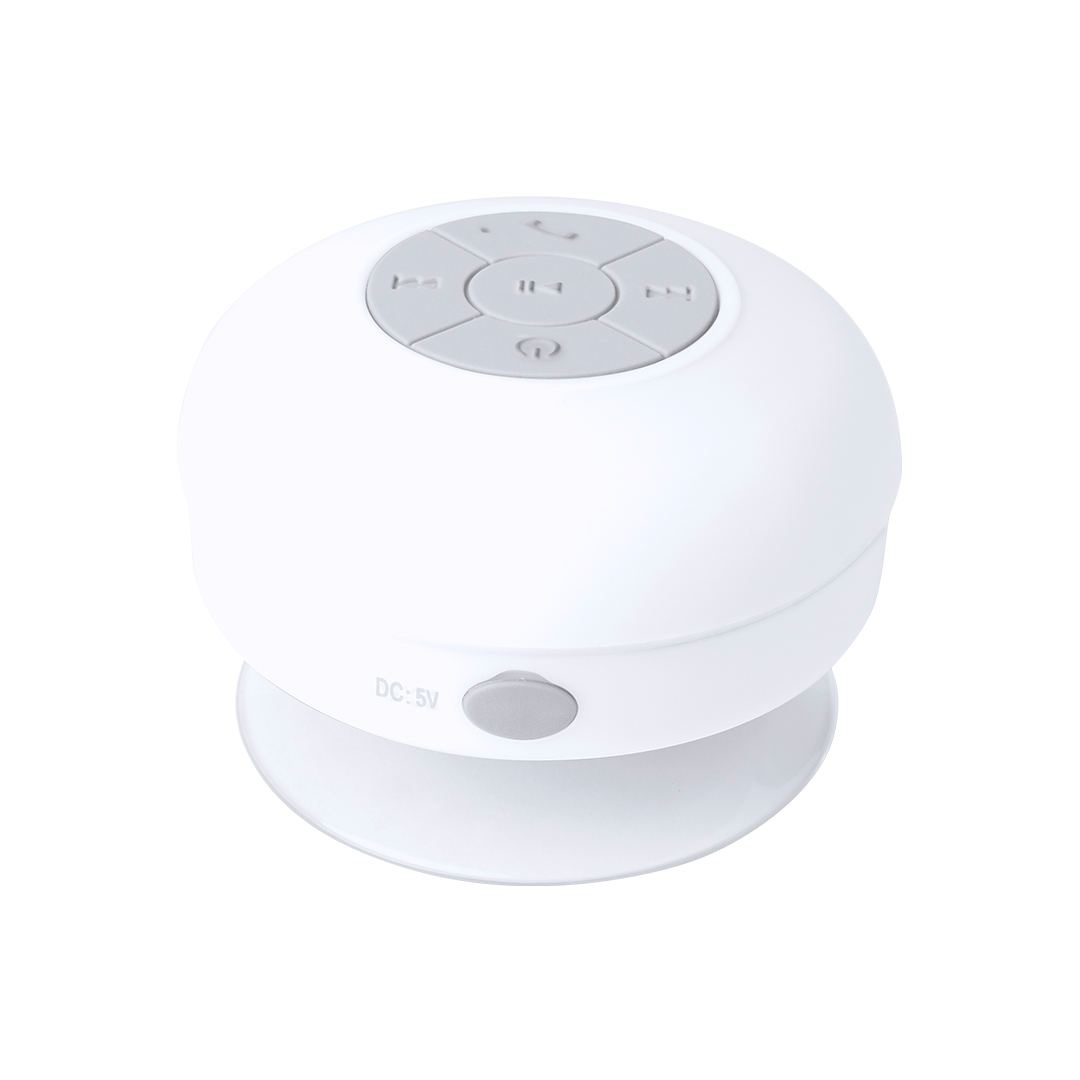 Haut-Parleur - Rariax 4