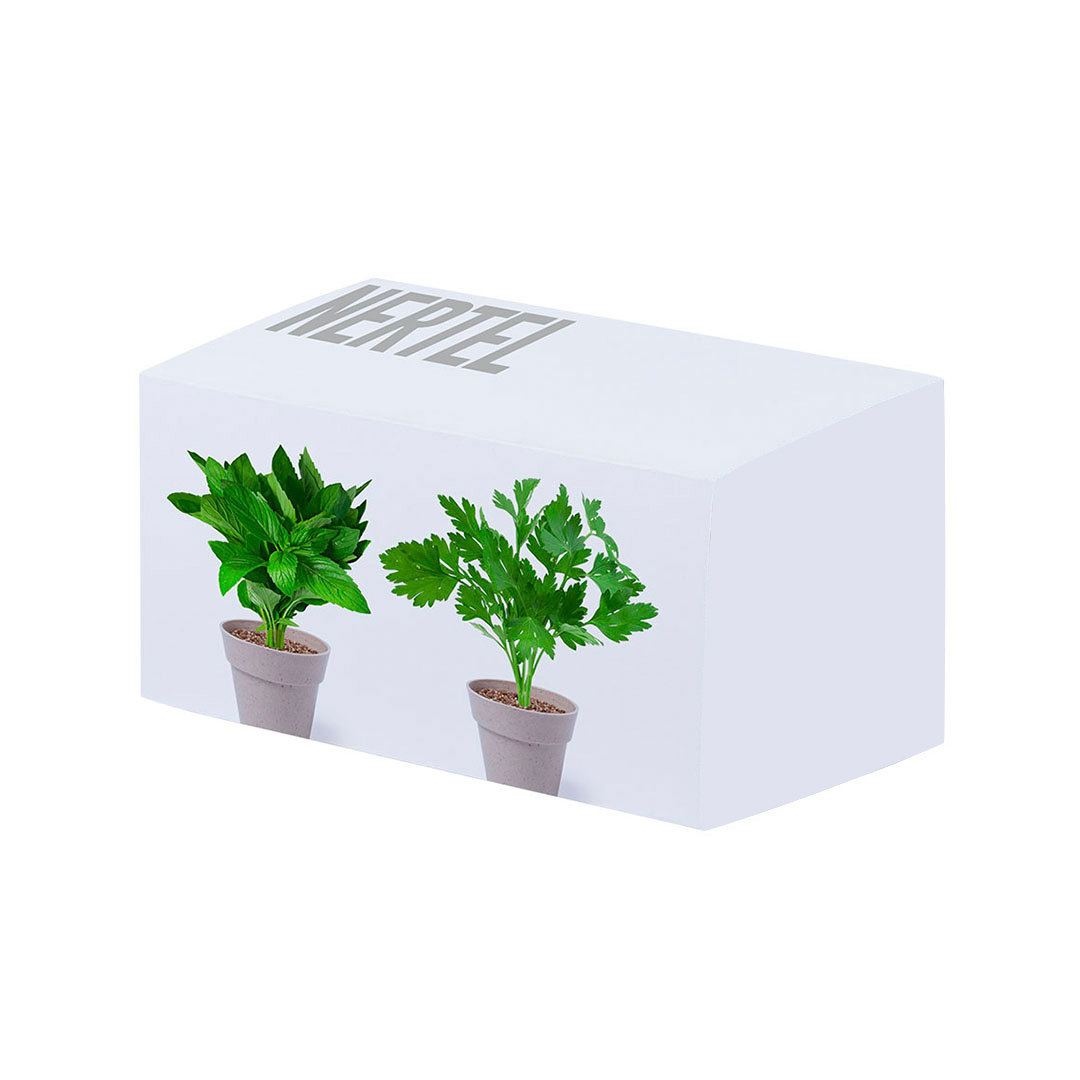 Set Pot de Fleurs - Nertel 2