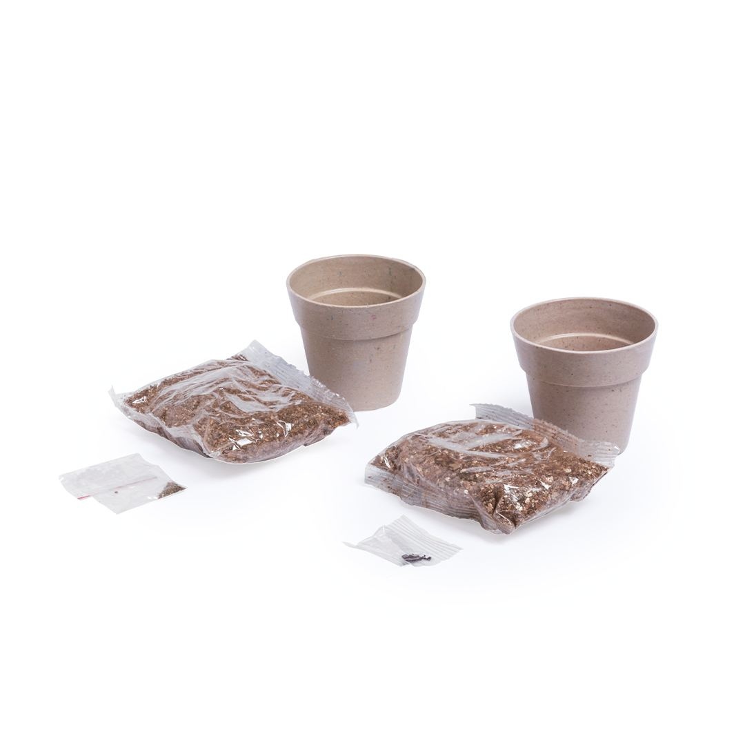 Set Pot de Fleurs - Nertel