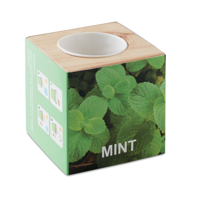 MENTA - Pot en bois avec graine Menthe