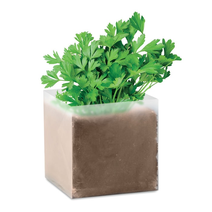 Substrat avec graines Persil - PARSLEY