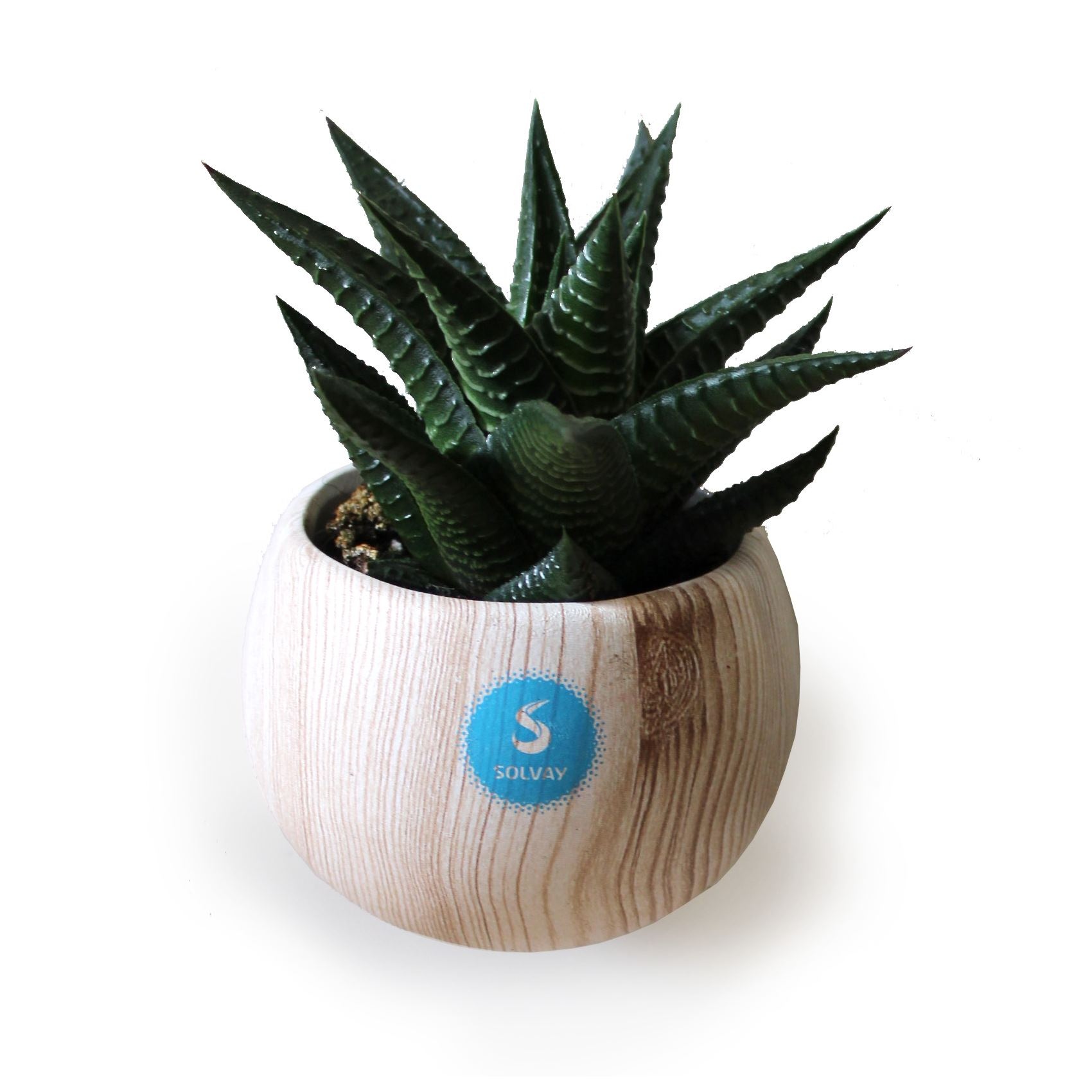 Plante pot céramique aimanté aspect bois