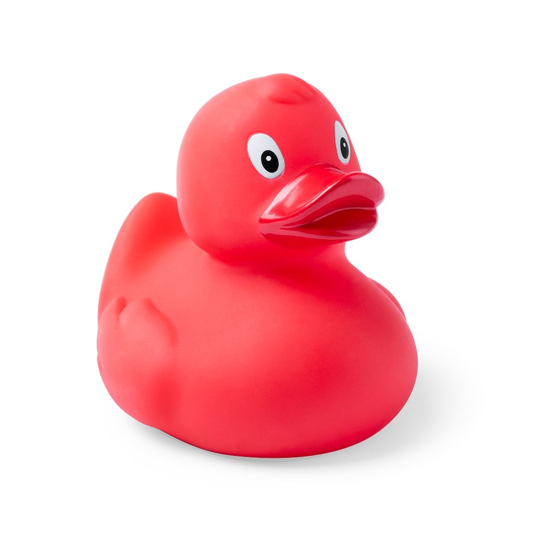 Canard - Koldy 5